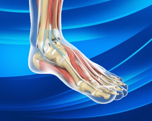 Lateral ankle featured